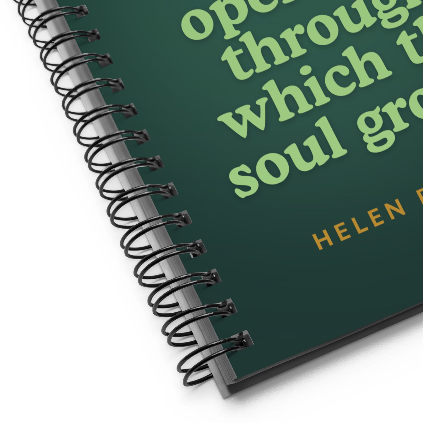 "Receptivity" (Spiral notebook)