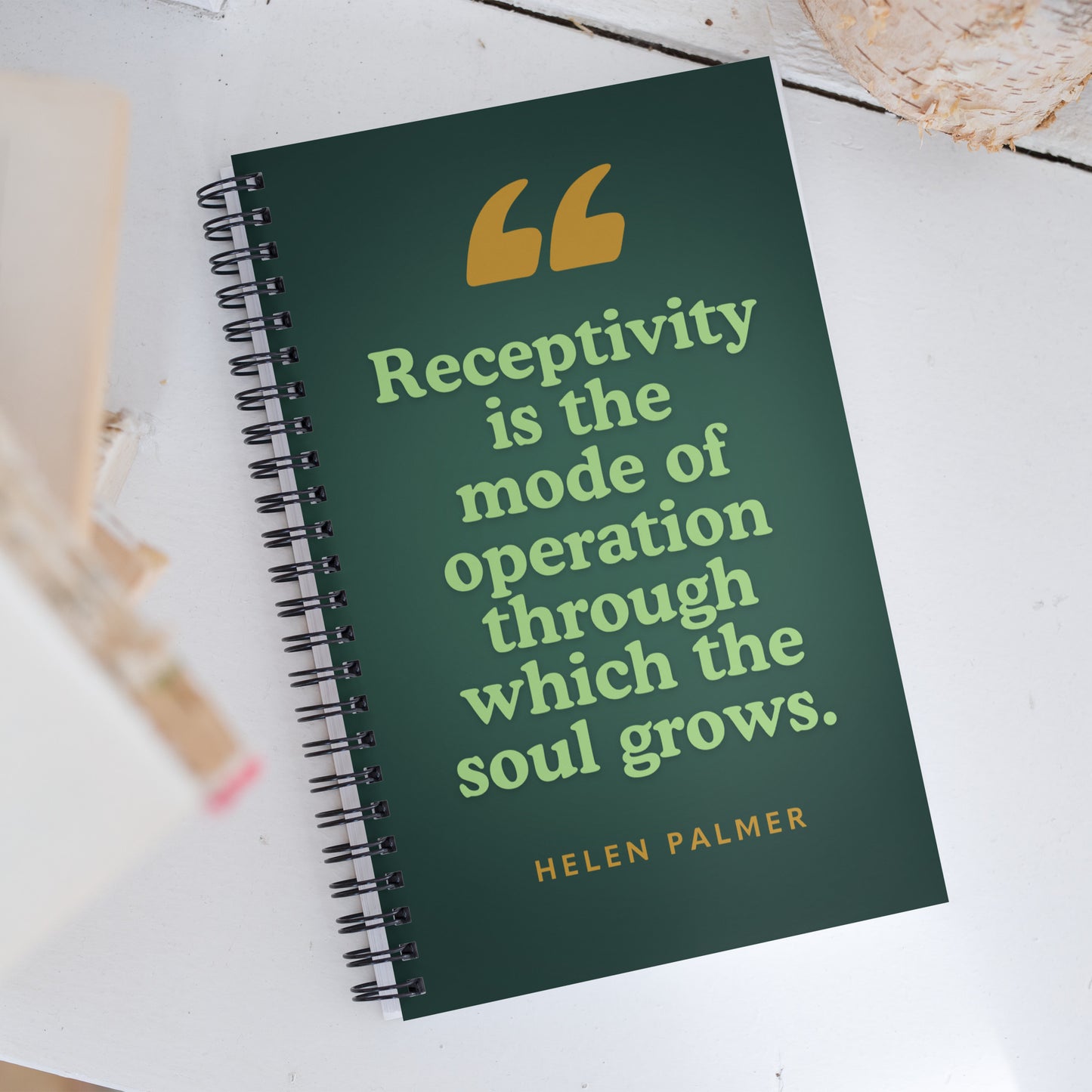 "Receptivity" (Spiral notebook)